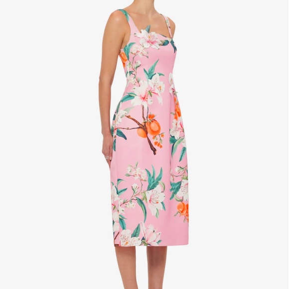 Leo Lin 'Larissa' Midi Dress in Lavish Print in Pink (NWOT) - Picture 5 of 12